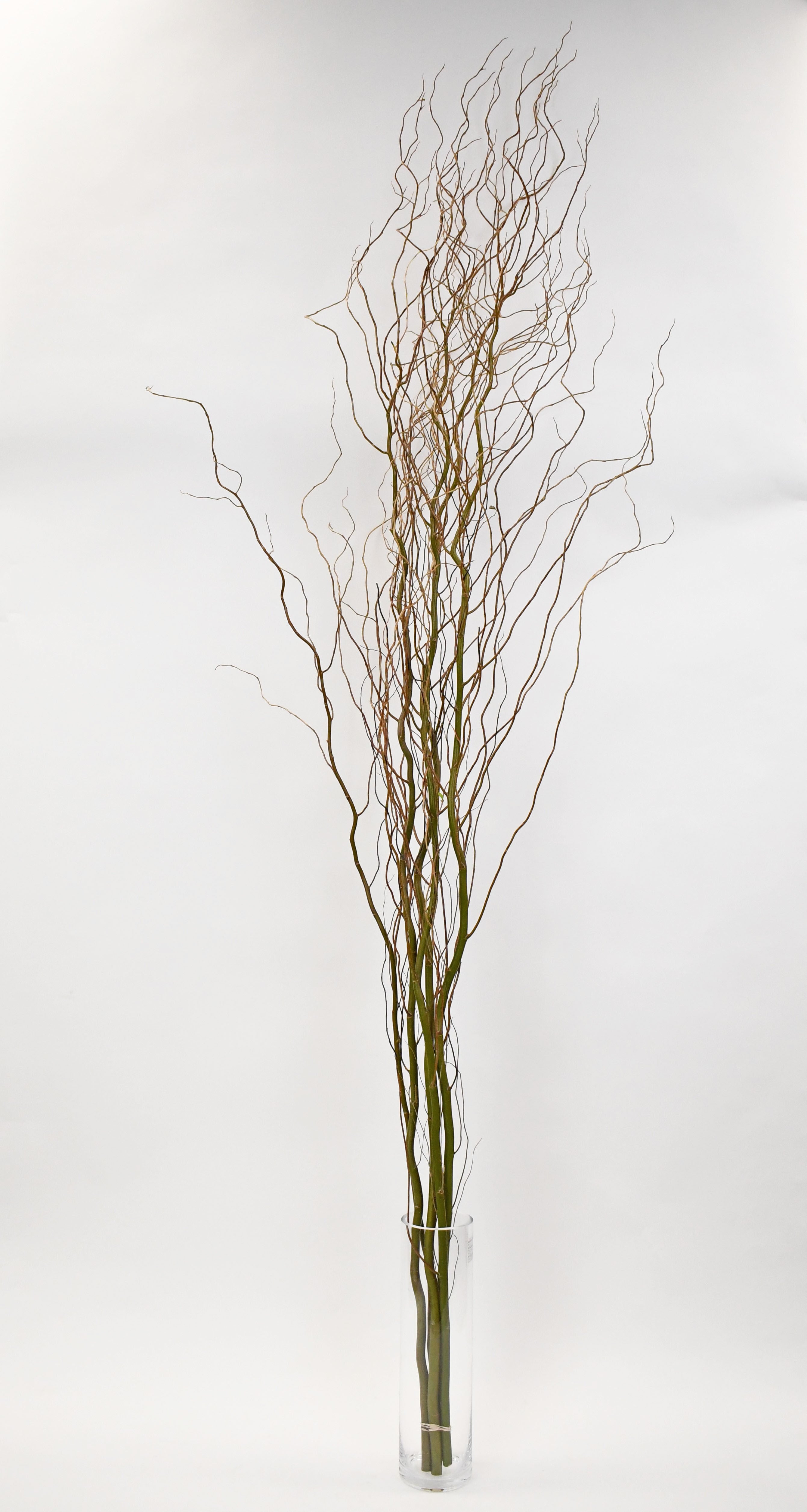 Curly Willow Tips Bunches