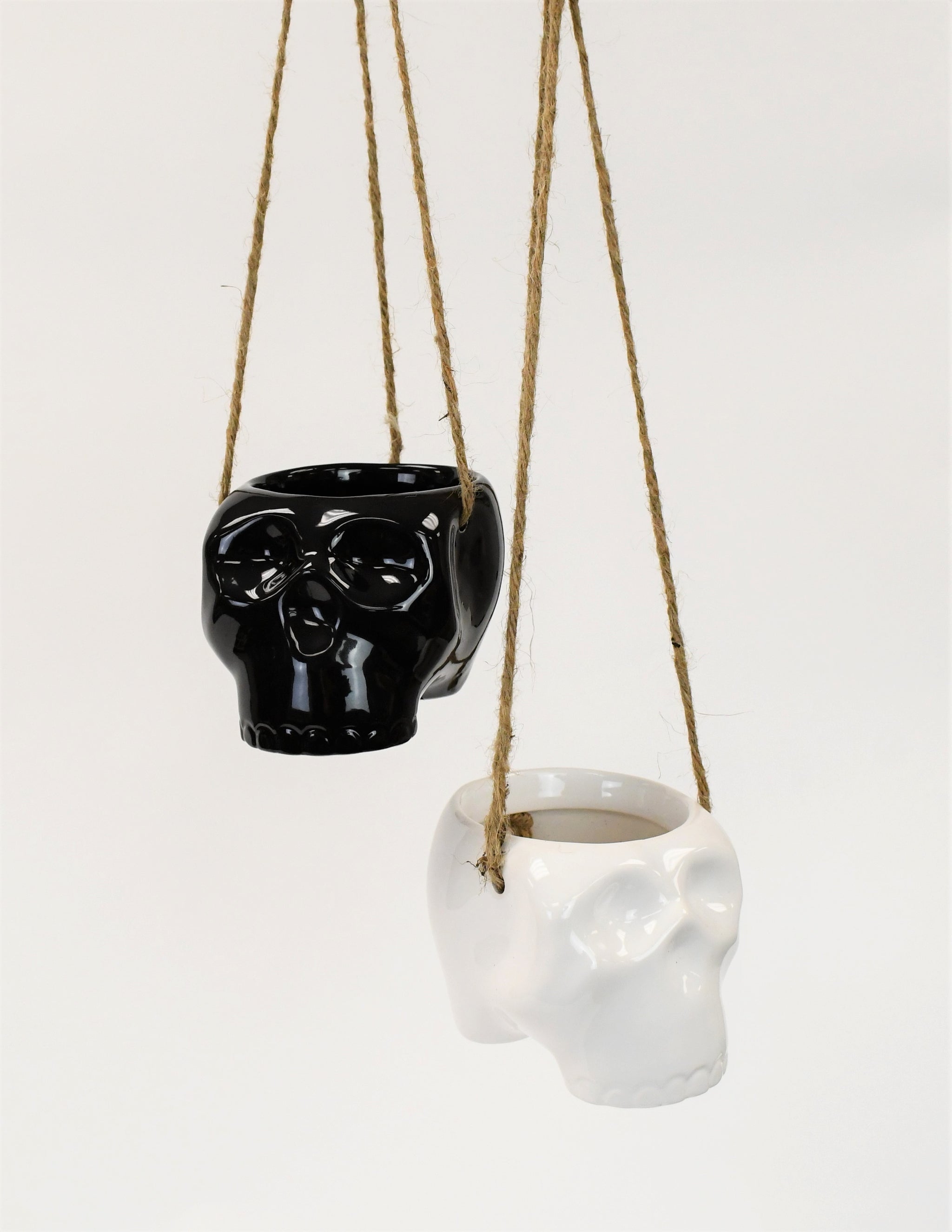 hanging skull planter Haunted Hanging Skull Pot