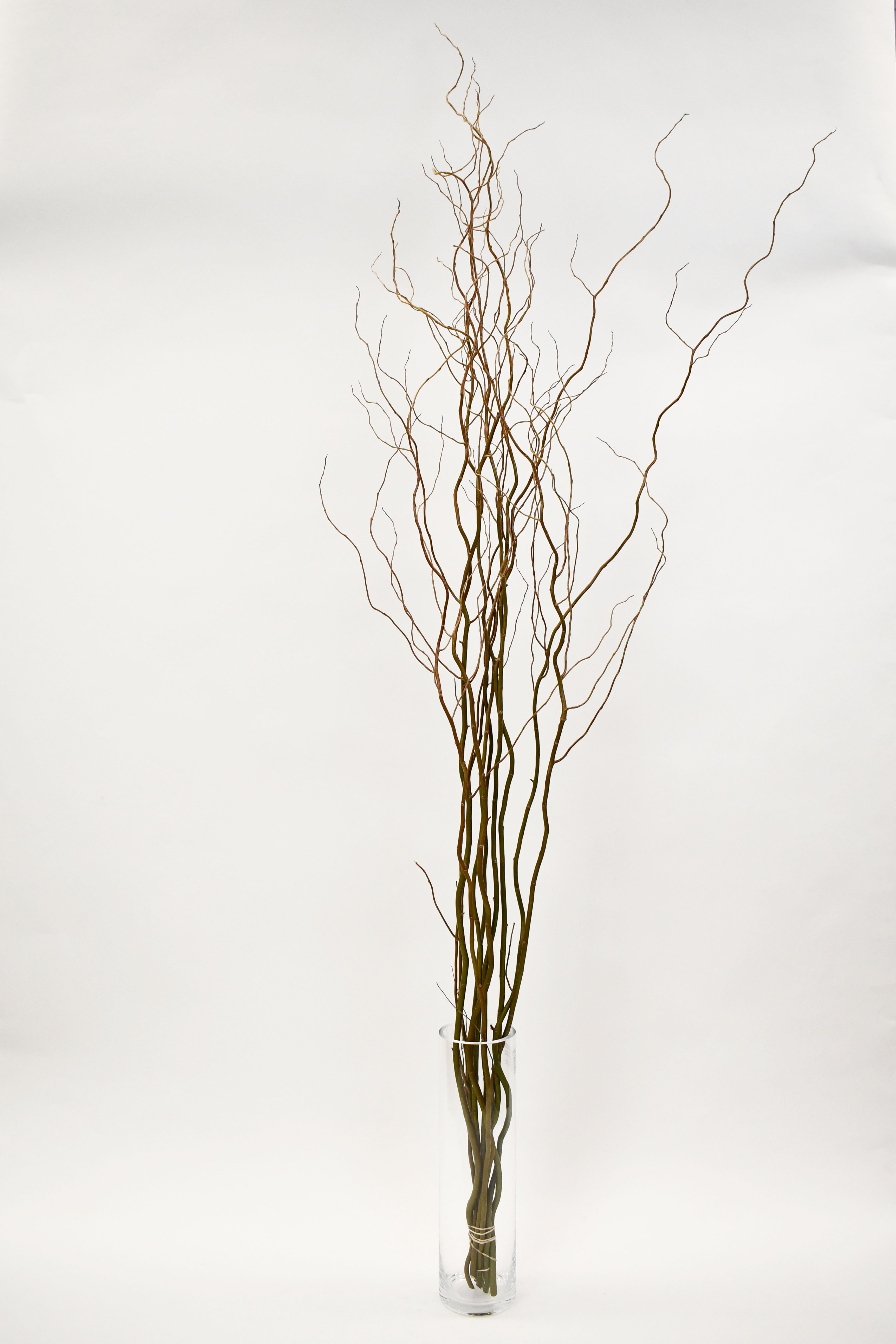 Fresh cut Curly Willow Branches 5 feet tall (4) branch set – Willows & More